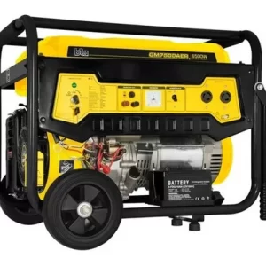 GRUPO ELECTRÓGENO BTA 6500W