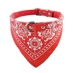 COLLAR CON PAÑUELO